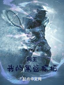 我是伊布