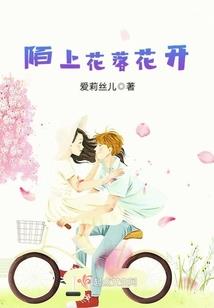 你好，仲先生