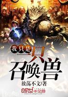 蓝海下的狐
