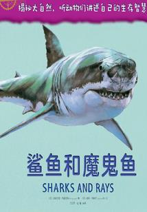 年少的花语