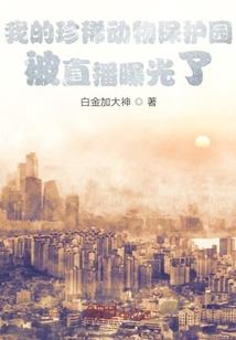 数码宝贝之战斗的王者