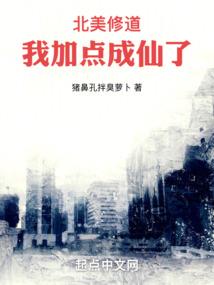 北非行动计划