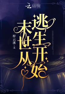 精灵宝可梦之伊布登天改版