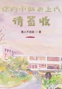 大鸟的琐碎文字