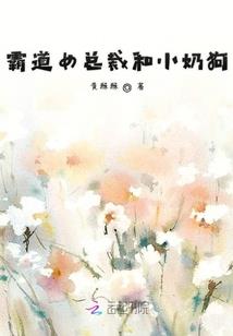 快穿系统：征服boss指南
