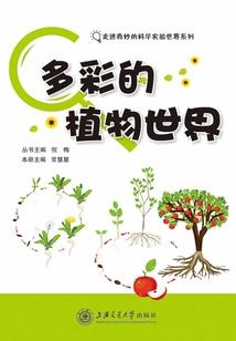 穿越古代小村姑
