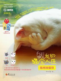 所爱锁忆