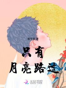 大宋狼婿