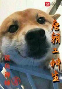 镇灵师的工作手册