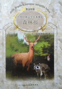 斗破苍穹之林枫