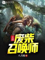末世之某本书
