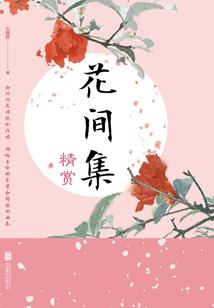 展翼年代