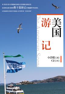 九天星云记
