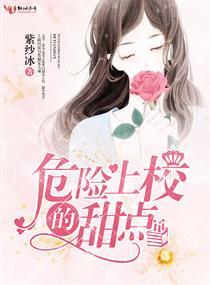 B方案