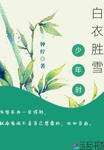 真相公式之极星法师