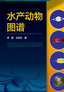 一剑歌笑