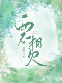 我，一片丹心