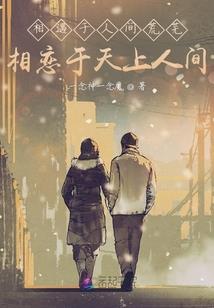 后宫之血殇