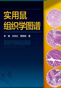 老房子，点滴