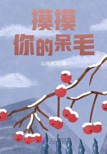 君倾天宸