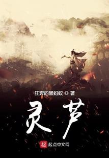 女尊开局被拐走当老公