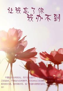 追星的青春