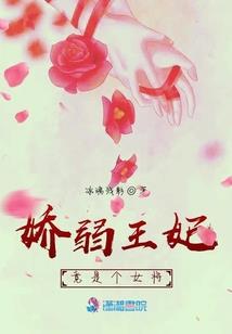 痴傻王爷萌萌妃
