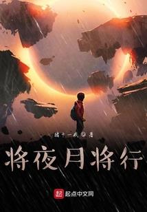 闪耀极光