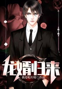 全职帝兵