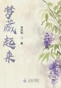 海贼之狮鹫主宰