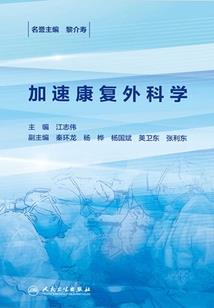 大清之恋