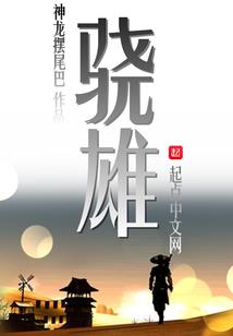 终极猪皮之剑指天涯