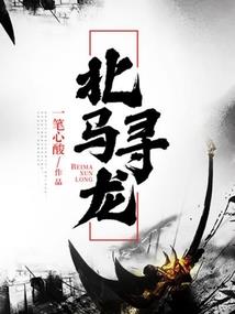 飘雪之国