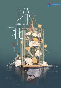 看爱，温暖花开