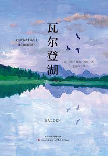 你我没有TA