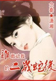 我梦中的孤僻王爷