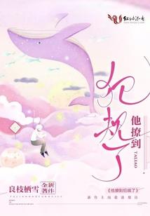 梦如泡影