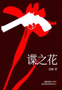 荣耀与孤独