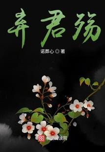守护甜心之樱梦绝恋