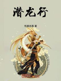 追风的人