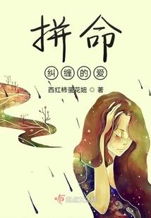 我是你们的四叶草