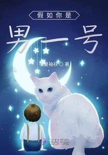女扮男装闯职场：总经理助理
