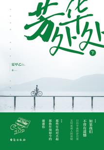 网球王子之樱恋