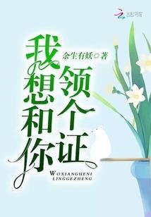 视你如瞳