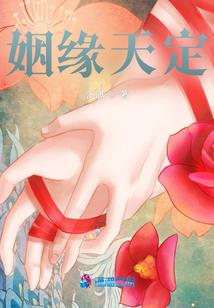 四爷，我不要这天下