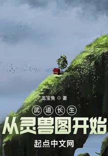 斗破苍穹之天火传说