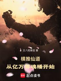 九次轮回之最后一个轮回