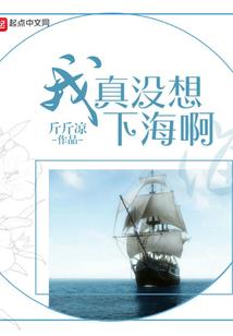 有关我给系统打工这件事