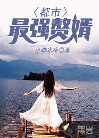 红楼之云泱文士