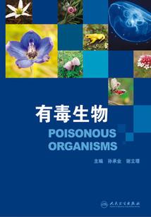 卿卜姿靓